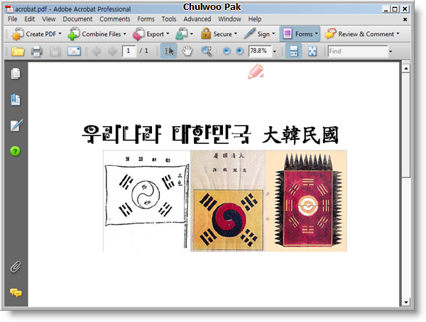 Acrobat 8.0 사용자 삽입 이미지