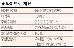 [도표] 와이브로 개요