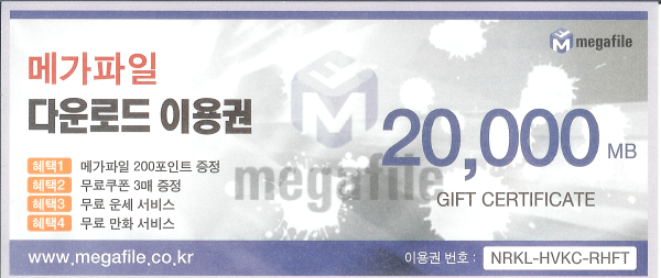 [선착순 1명] 메가파일 다운로드 이용권