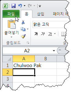 [Excel 2010] 리본 메뉴에 개발 도구 탭 표시하기