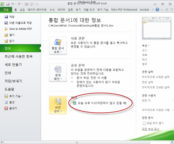 [Excel 2010] 파일 > 정보 > 버전