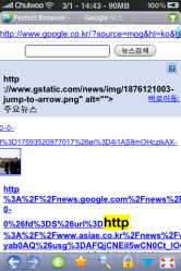 Perfect Web Browser